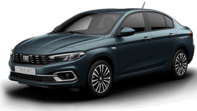 fiat ege sorunları
